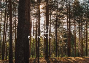 Emprendimiento - Pinares