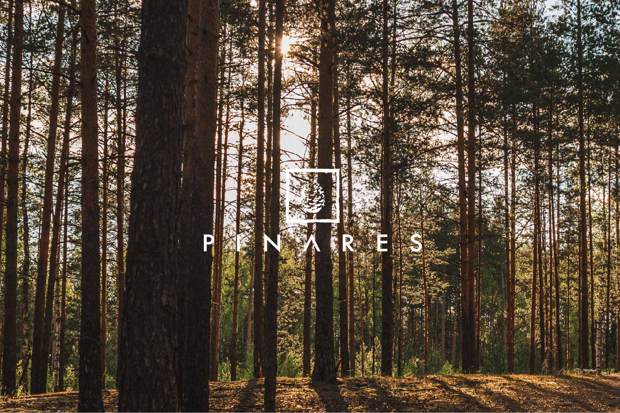 Emprendimiento - Pinares