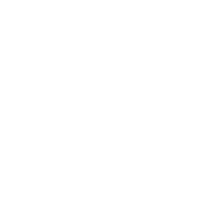 bloque6-rentable-y-rapido Steelplex, logo rentable y rápido