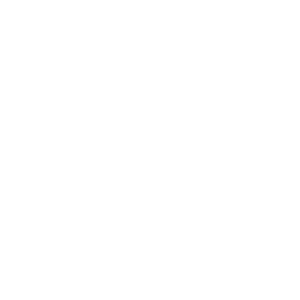 bloque6-seguridad Steelplex, logo seguridad