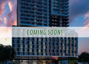 Bridge Sense Edgewater 22