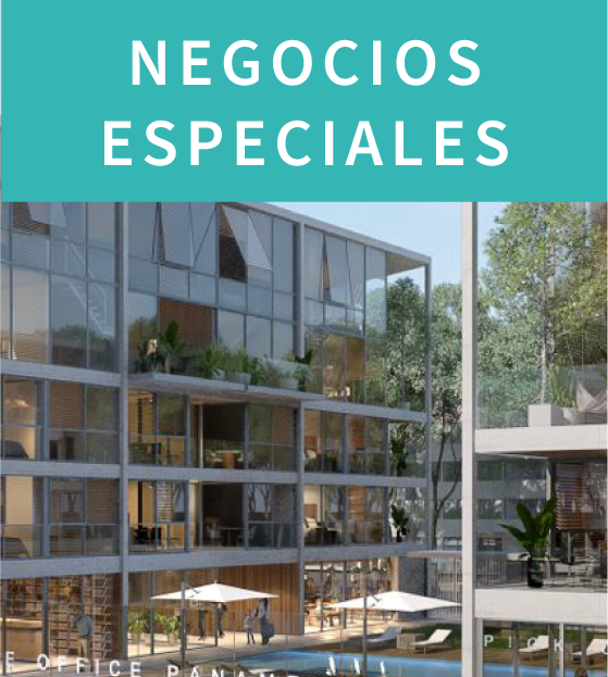 Footer Bridge Divisiones 03 1