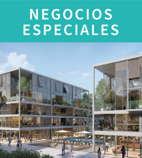 Div. Negocios Especiales